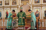 40-Архиерейское богослужение на праздник Входа Господня в Иерусалим  в Андреевском кафедральном соборе г.Усть-Каменогорска